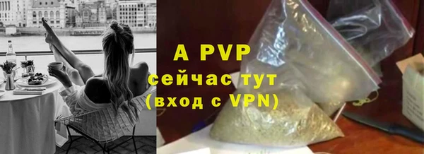 сатива Вязьма