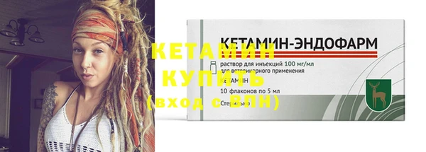 сатива Вязьма