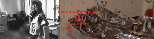 МДМА Горно-Алтайск